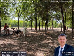 Things to do in McKinney TX. Visit Dog Park inside the Bonnie Wenk Park in McKinney TX McKinney TX Relocation Guide Realtor in McKinney, TX - Oleg Sedletsky 214-940-8149