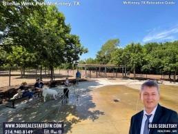 Things to do in McKinney TX. Visit Dog Park inside the Bonnie Wenk Park in McKinney TX McKinney TX Relocation Guide Realtor in McKinney, TX - Oleg Sedletsky 214-940-8149